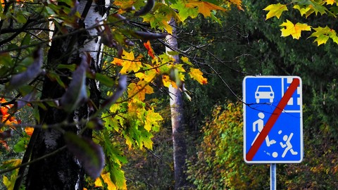 Городская ирония осени