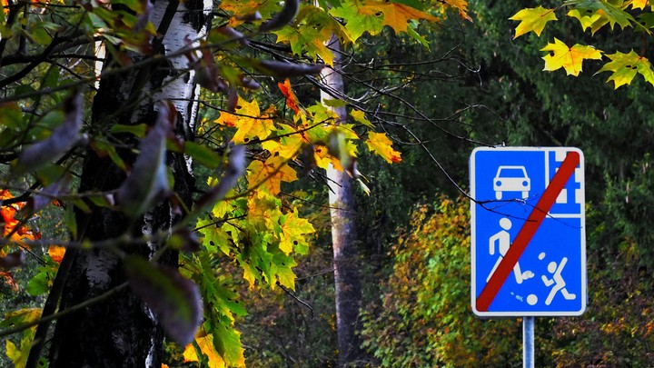Городская ирония осени