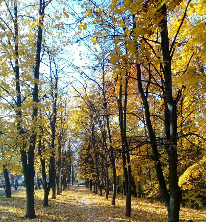 Autumn