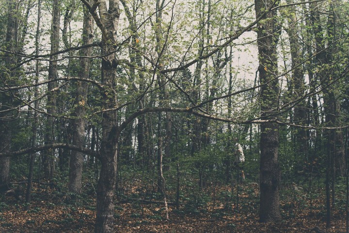 park