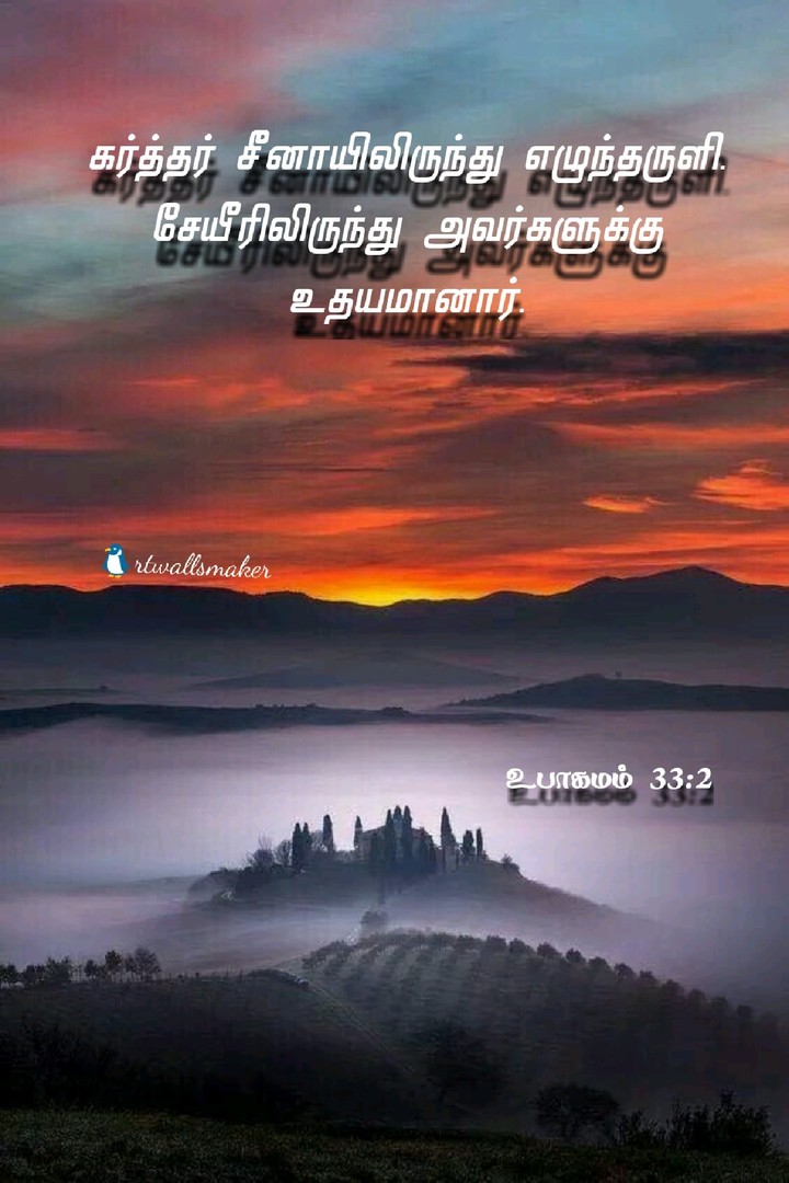 dawned