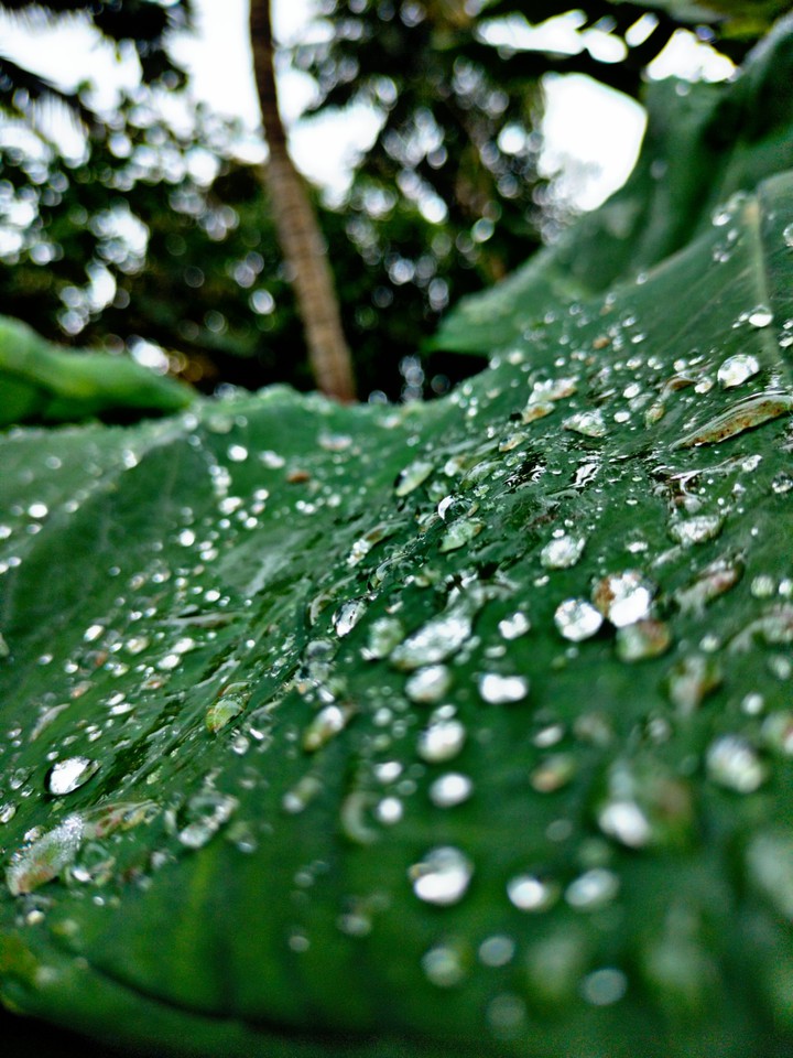 rainy day