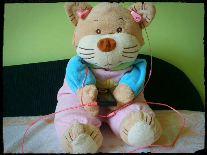 teddy bear 