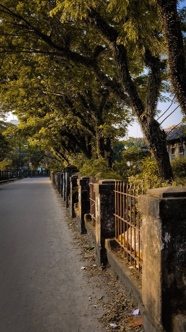 Road