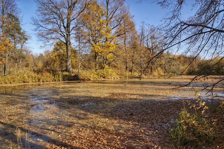 Autumn river