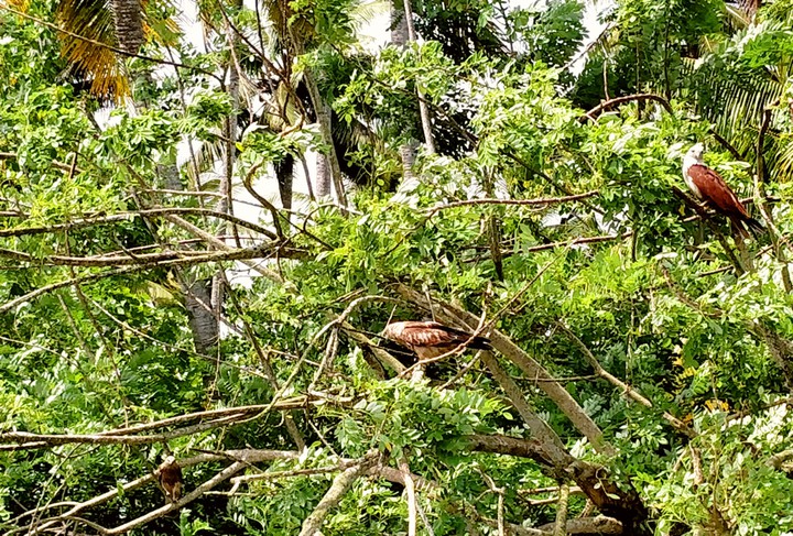 Kerala