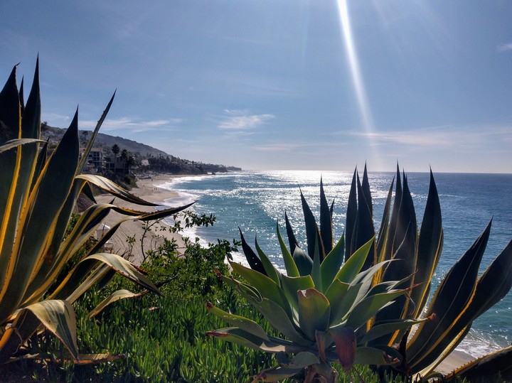 Treasure Island Park