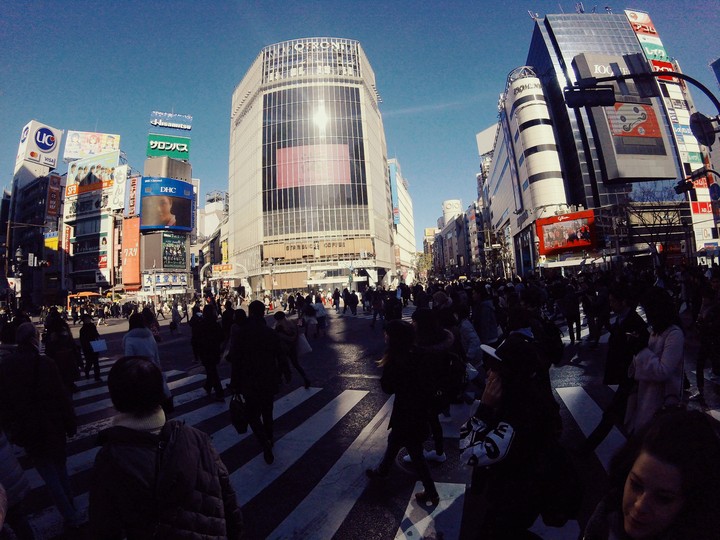 shibuya