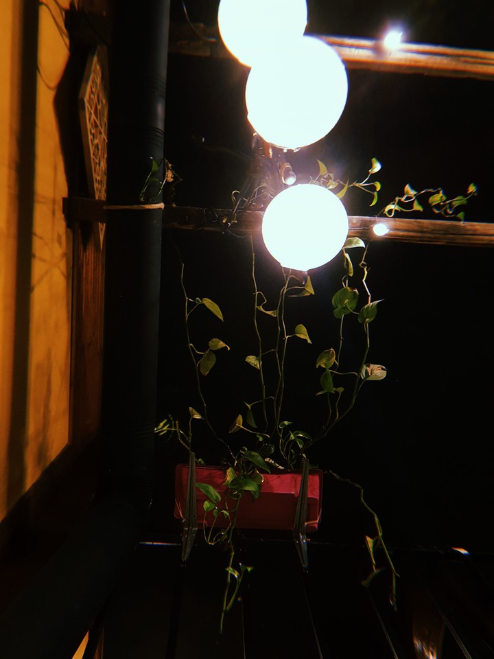 cafe