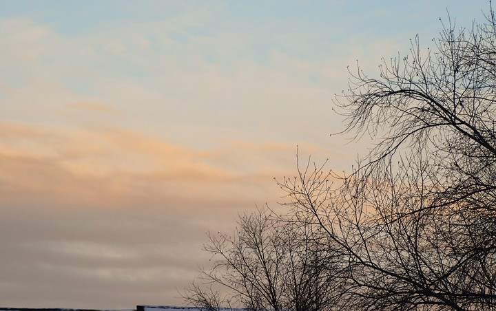 evening