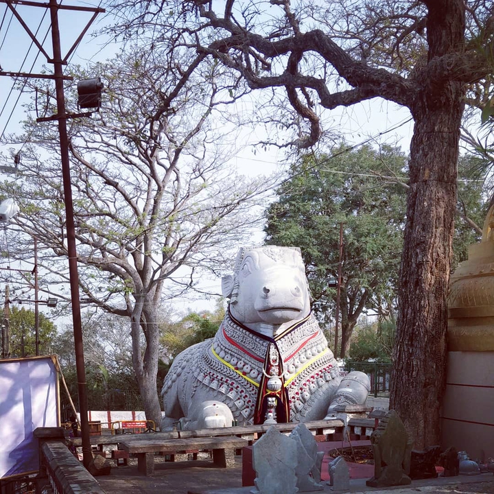 Nandi, Chamundi hills, Mysore