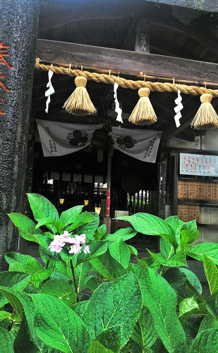 Kushida shrine(구시다 신사)