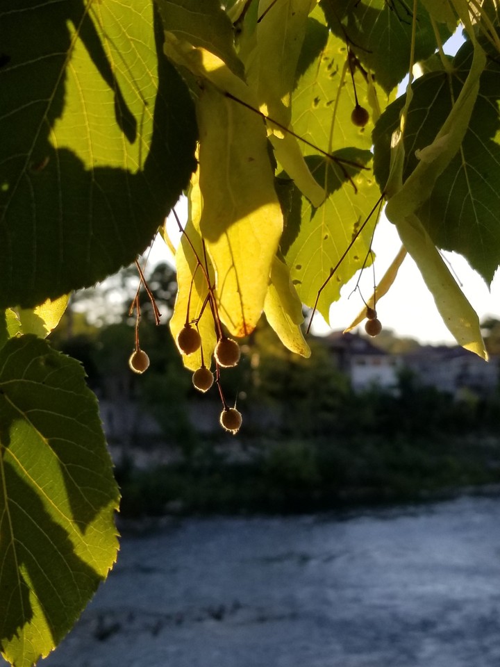 Sun effect