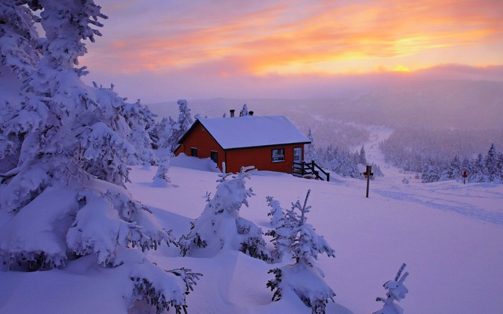 Winter house