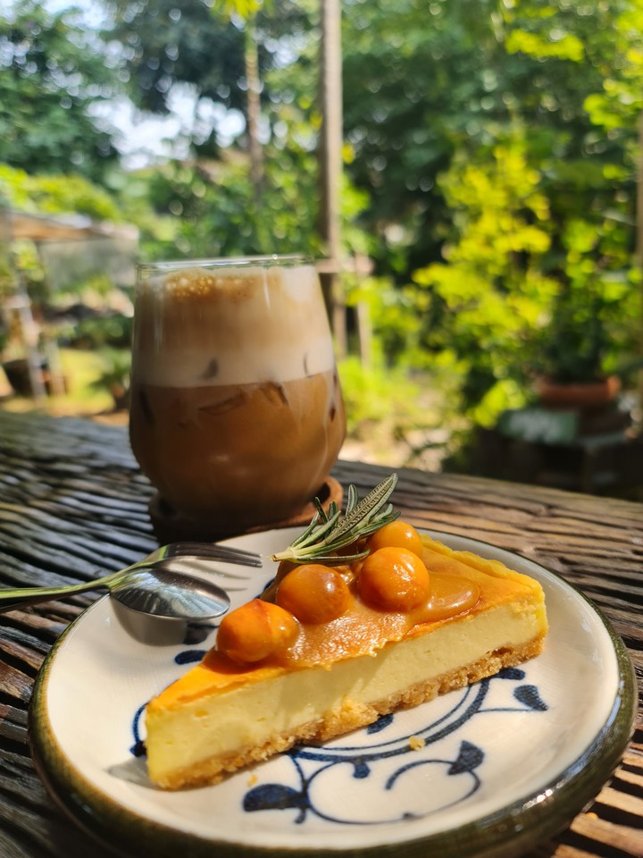 cake in the garden