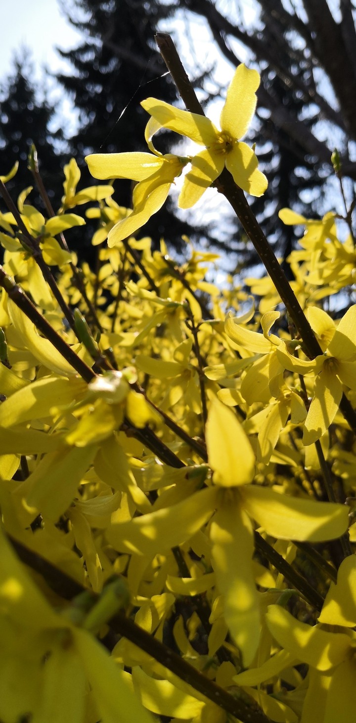 Spring . 02