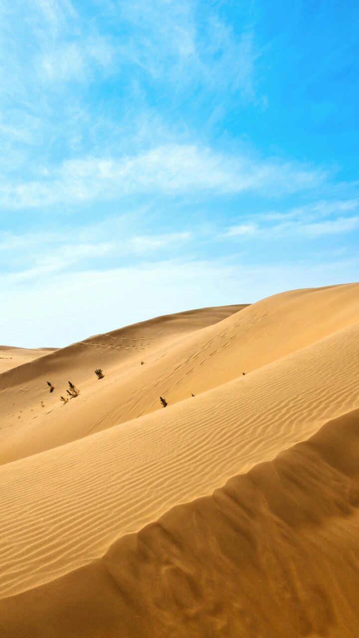 desert