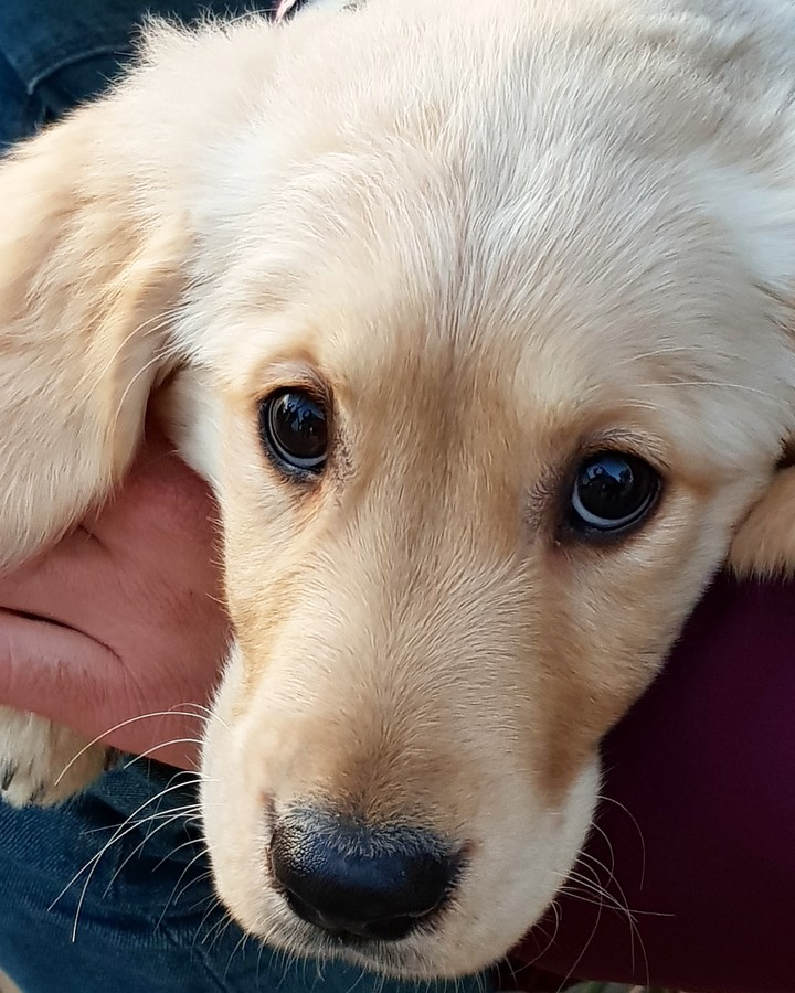 She