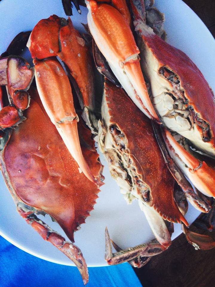 Crabs
