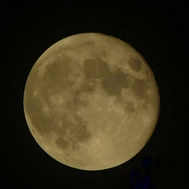 She walks in beauty like the night...