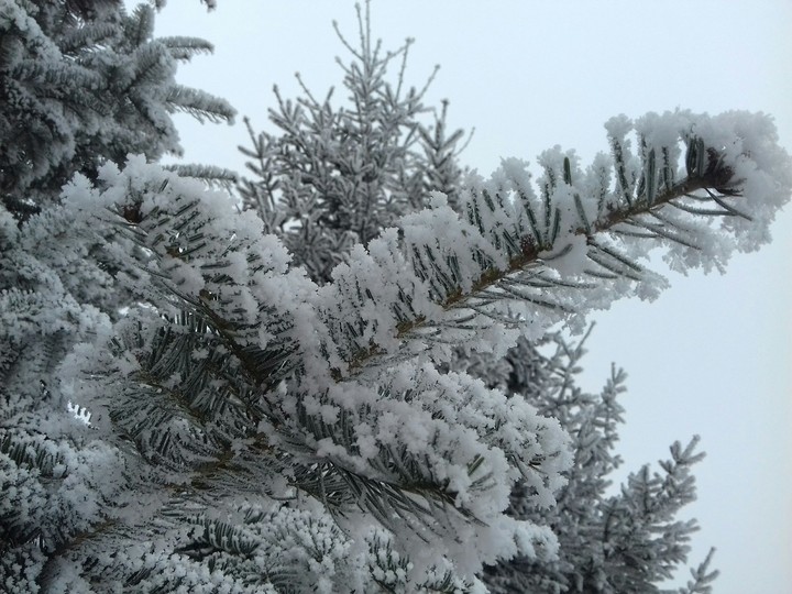 snow