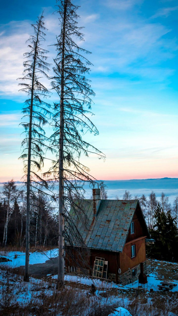 Winter