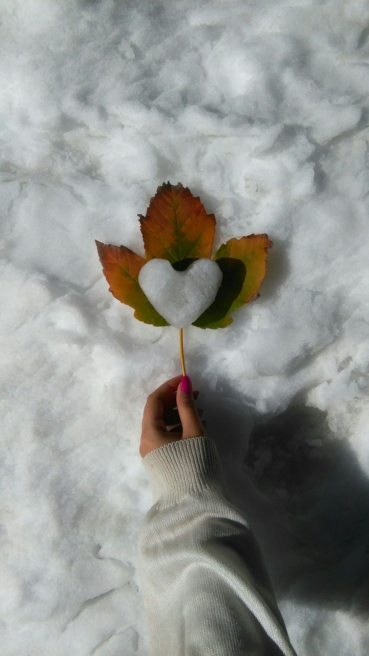 heart_winter