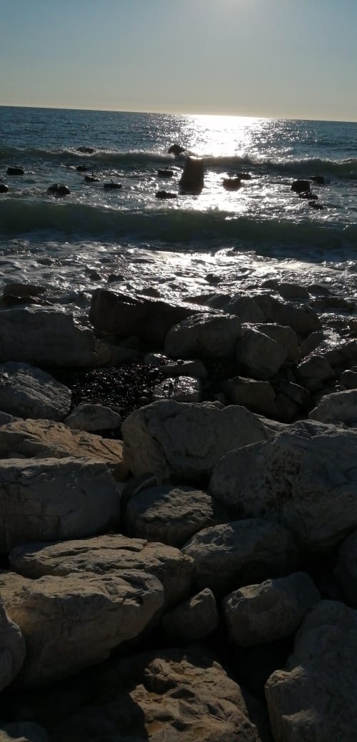 Black sea