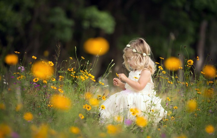 flowers