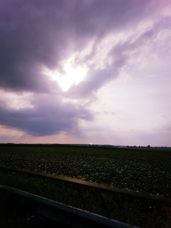 Sunshine on a Cloudy Day