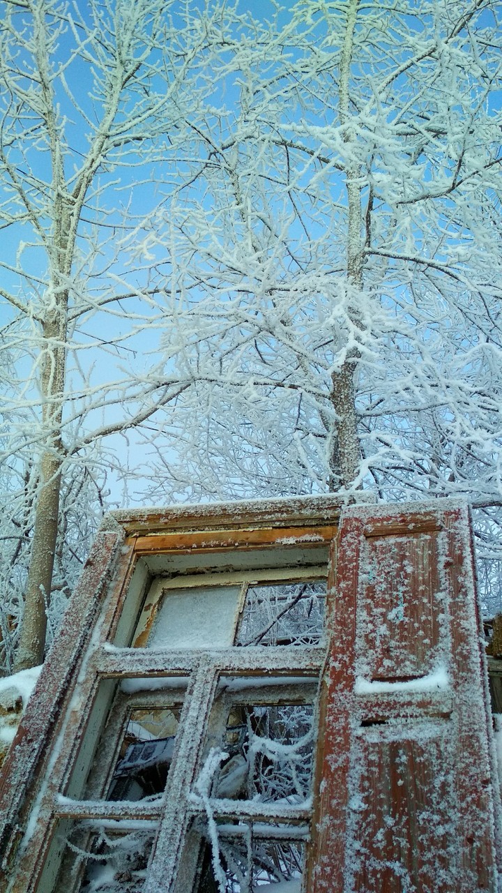 winter