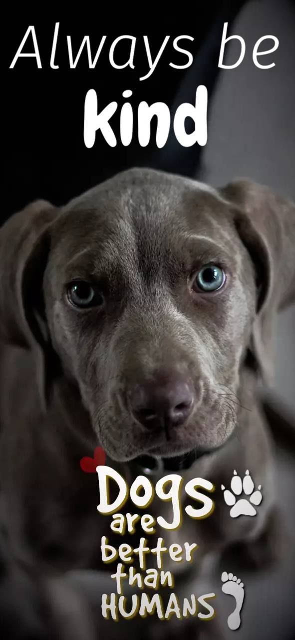 kind to animals