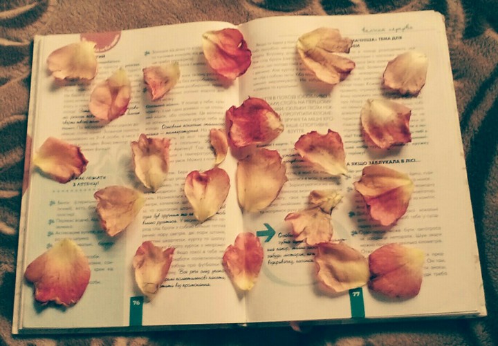 книга