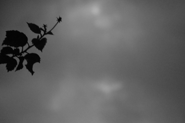 Chasing storm