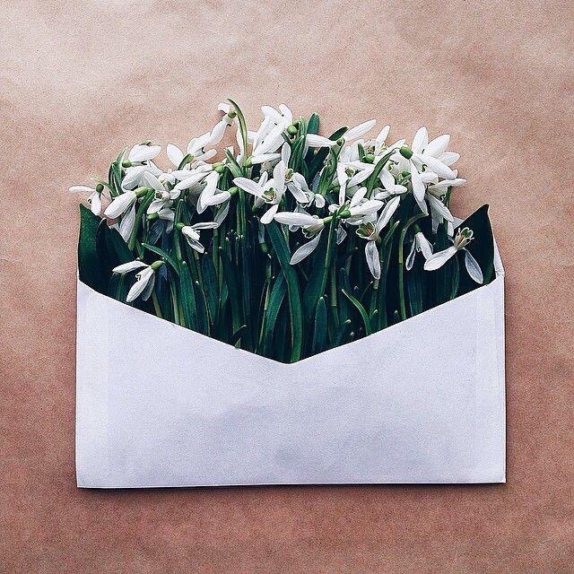 Цветы в конверте