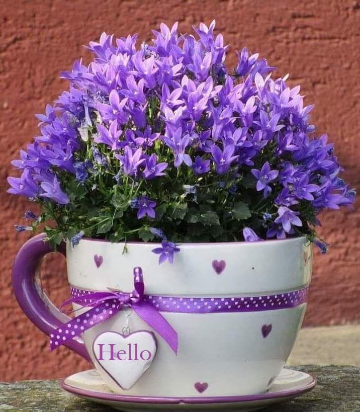 fiori
