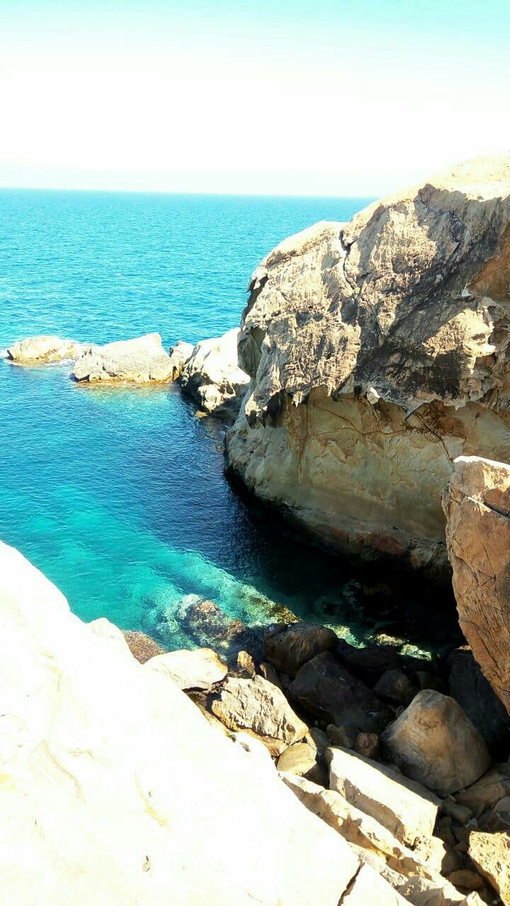 thalasophile