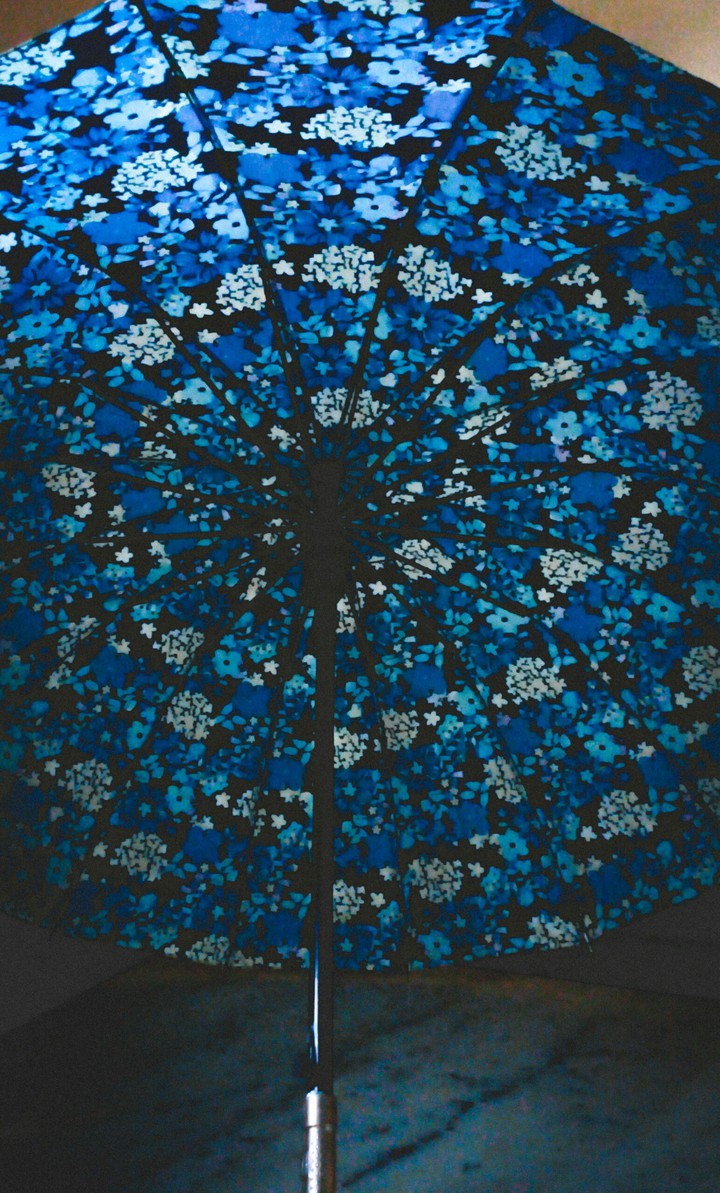 umbrella