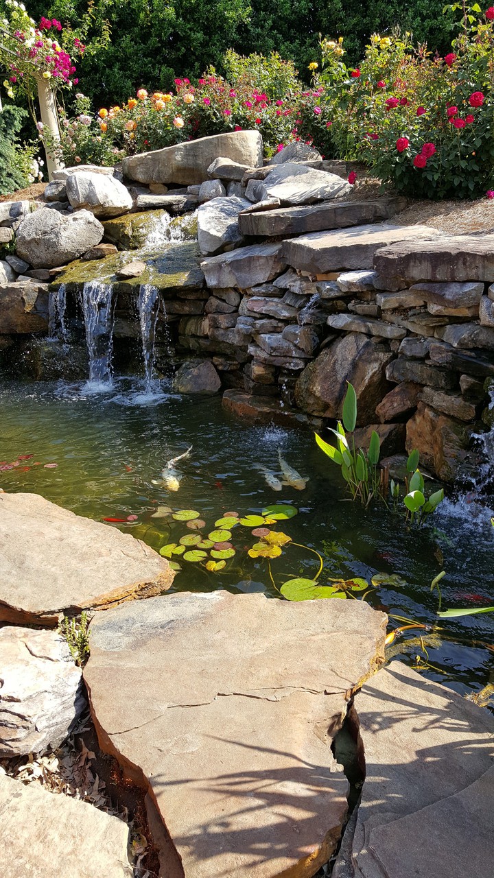 Volunteer Gardens