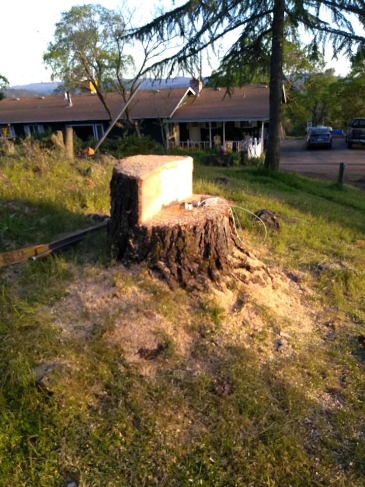 Mighty Bullpine no longer!