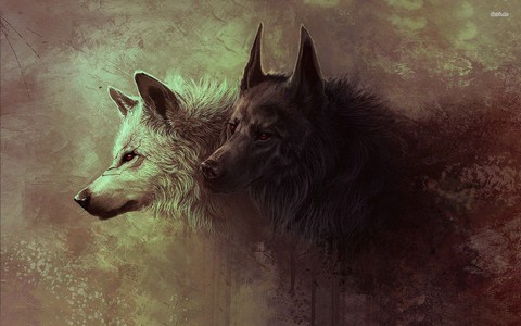 wolf