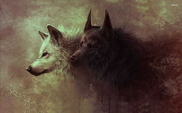 wolf