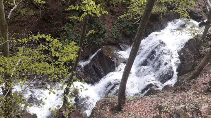 Transcarpathia