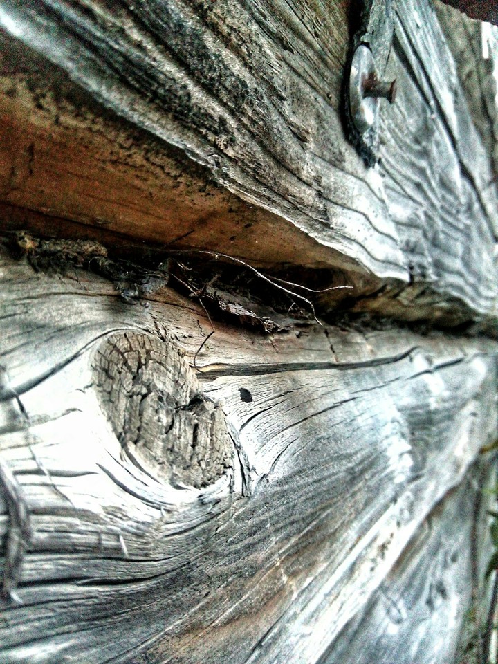 Wood.