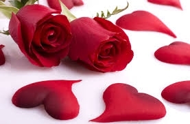 lovely flowers
