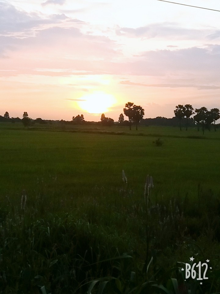 country