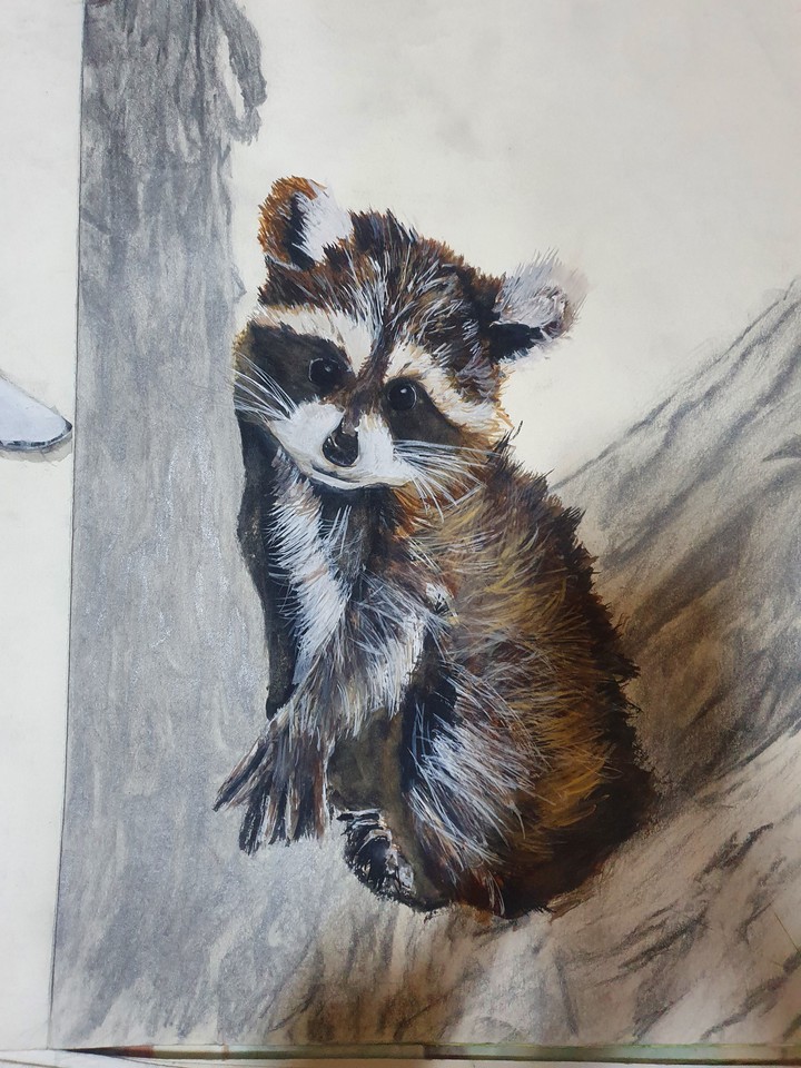 Raccoon Painting