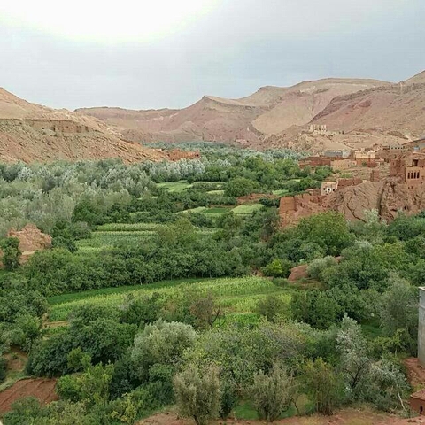 Nature