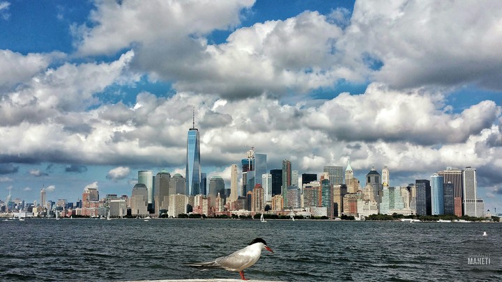 Newyork