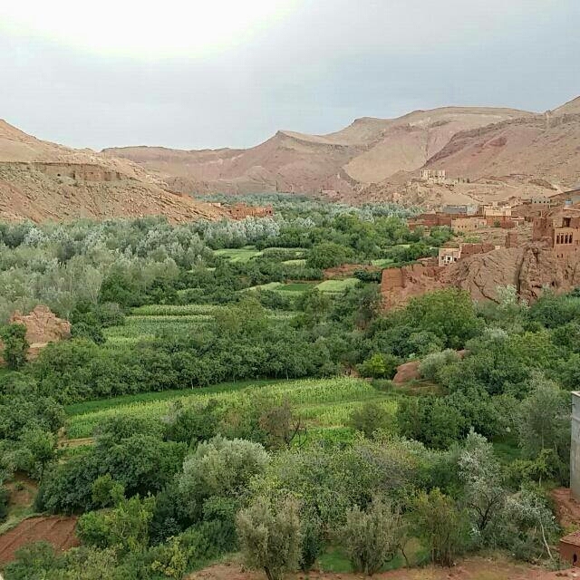 Nature